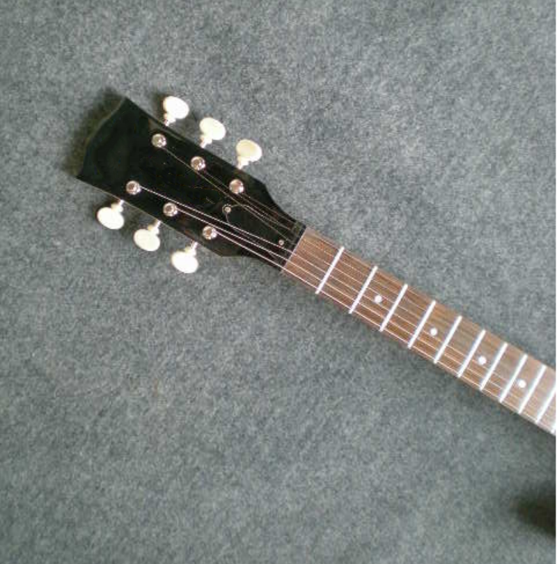 Customize Electric Guitar LSM066