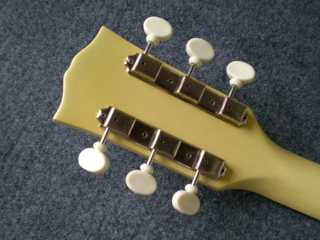 Customize Electric Guitar LSM066