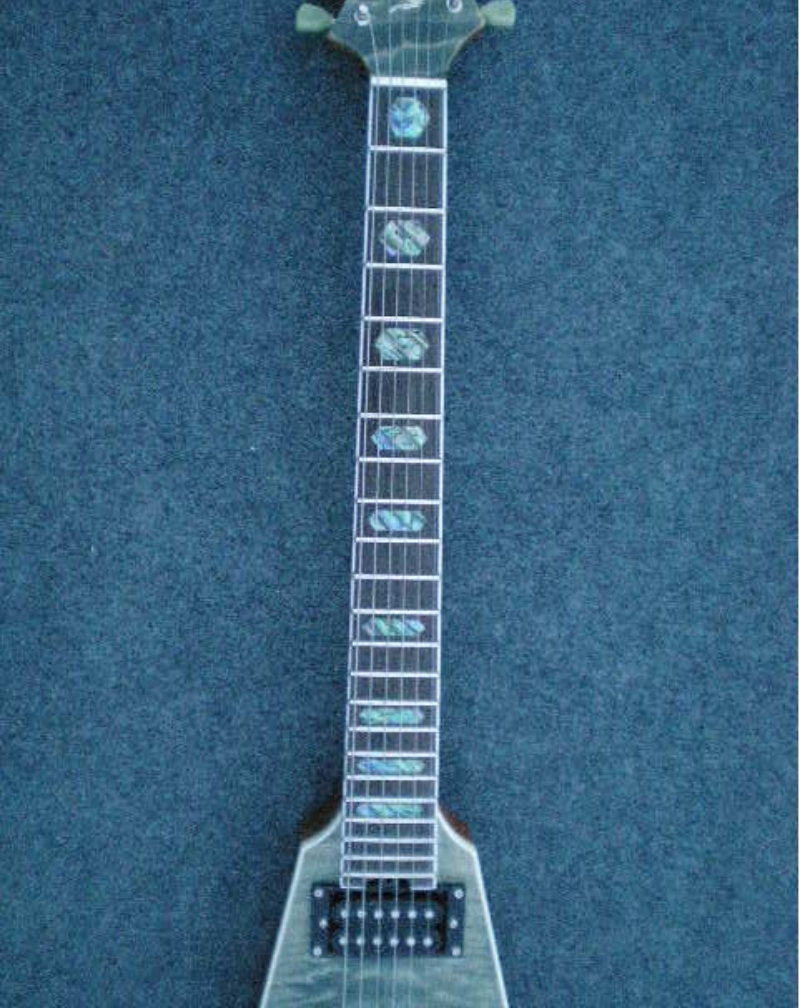 Customize Electric Guitar LSM011