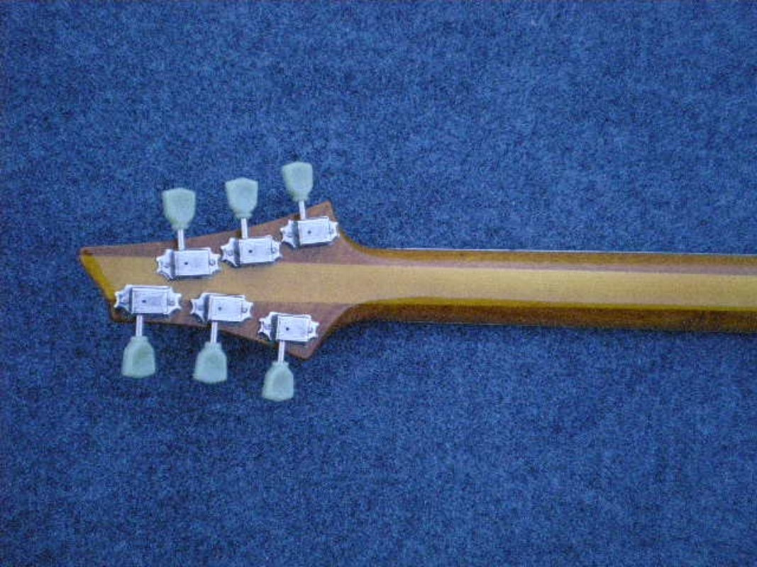 Customize Electric Guitar LSM011