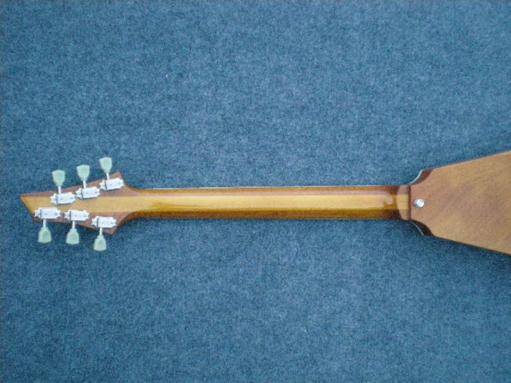 Customize Electric Guitar LSM011
