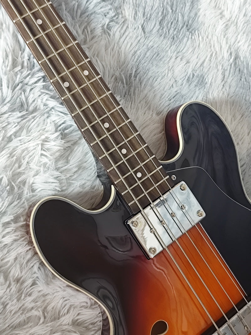 Customize Electric Bass 4-Strings Semi-Hollow LSM108