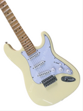 Customize Electric Guitar LSM109