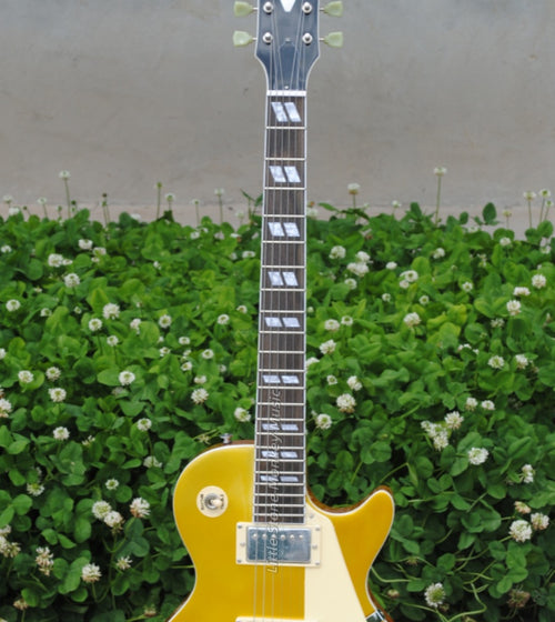 Customize Electric Guitar 423