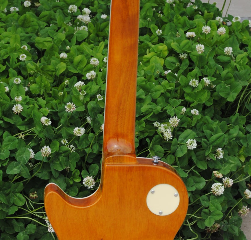Customize Electric Guitar 423