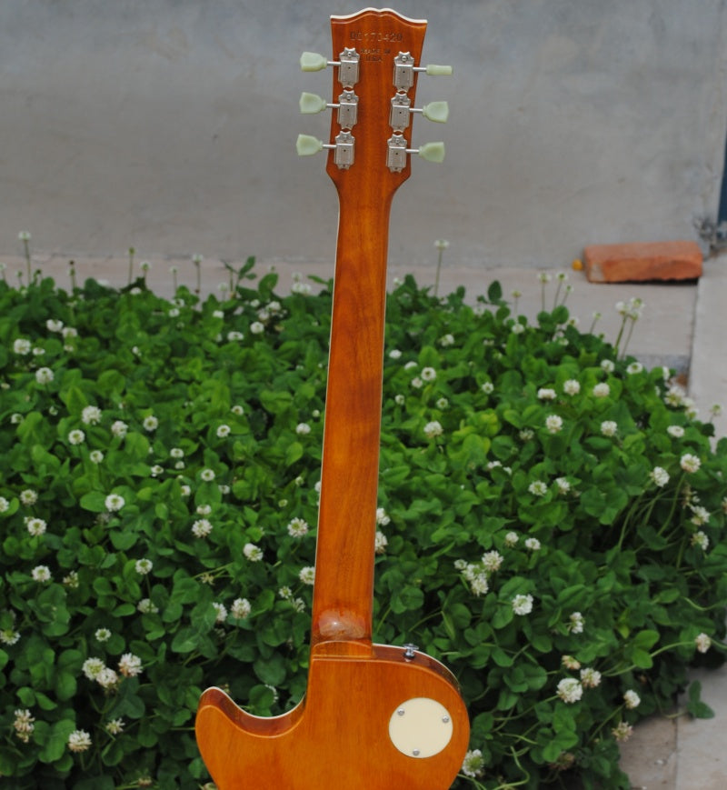 Customize Electric Guitar 423