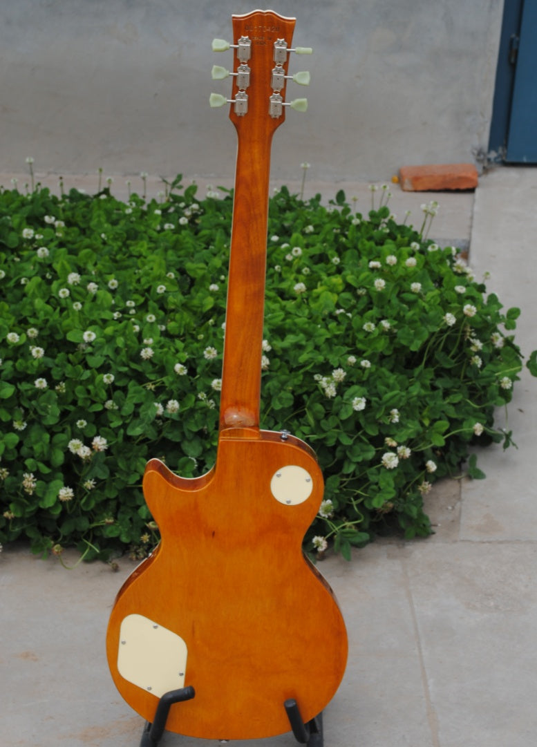 Customize Electric Guitar 423