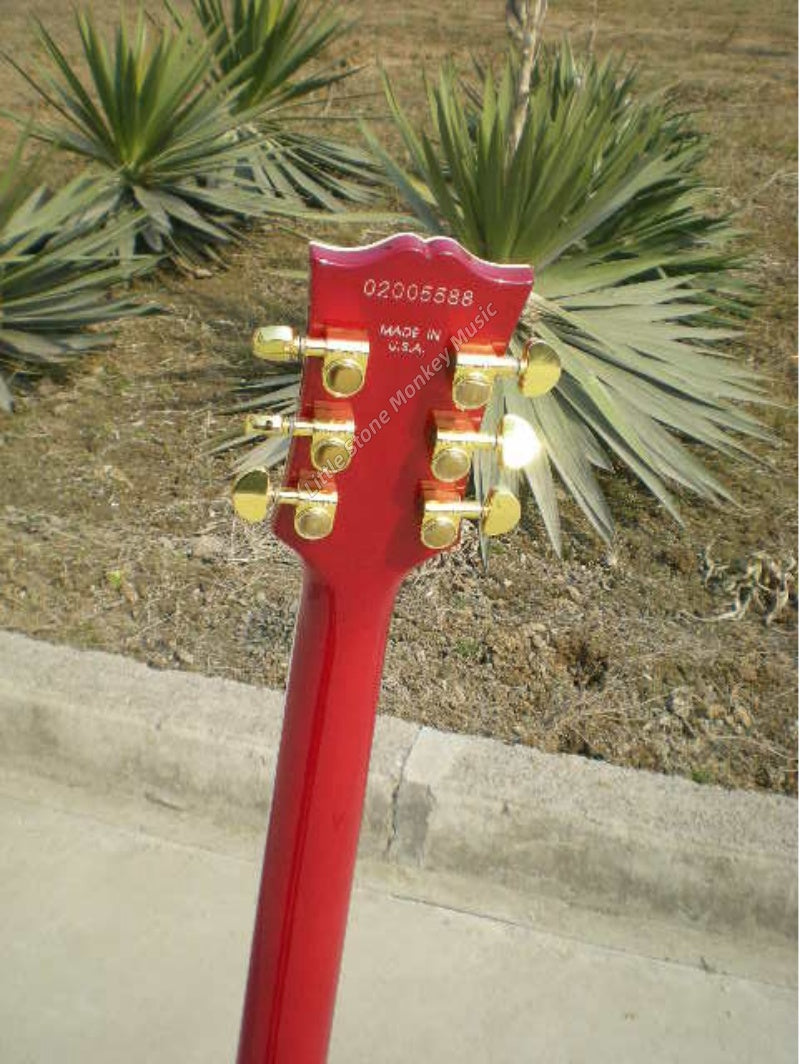 Factory Customized 6 String Electric Guitar We Can Customize Various Styles462