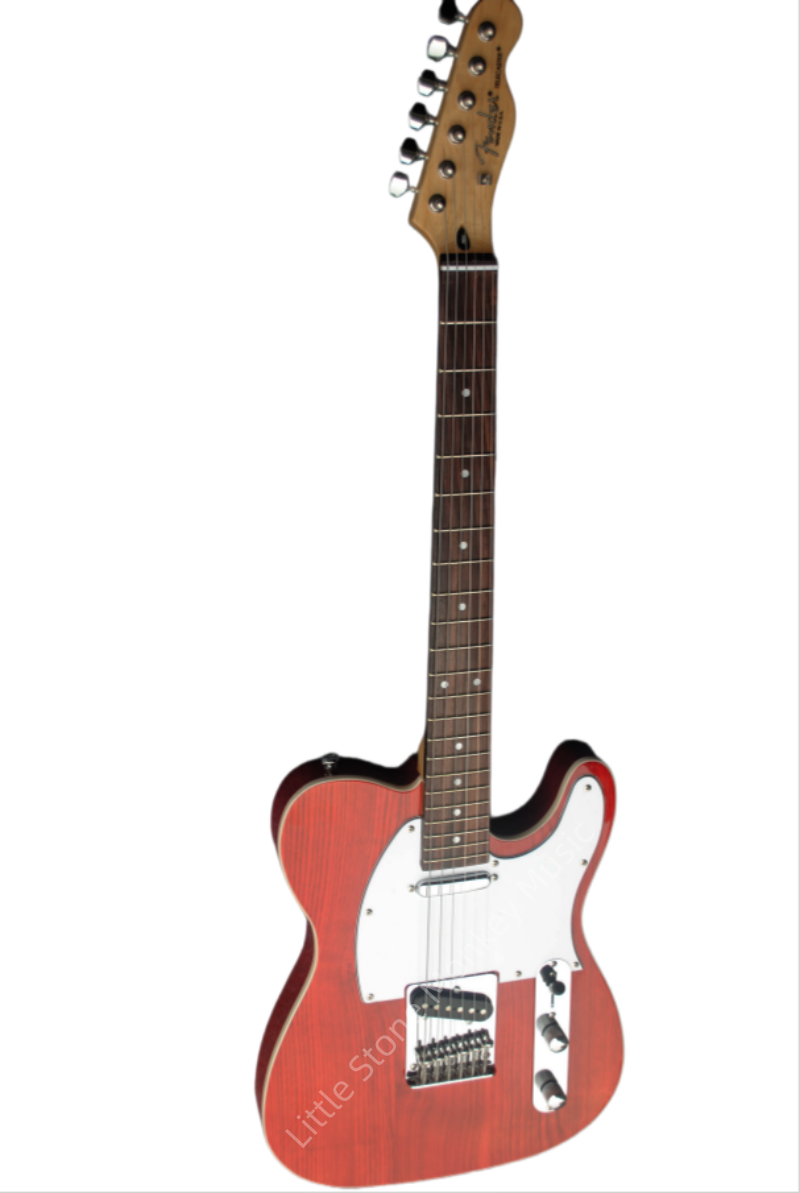 Customize Electric Guitar LSM145