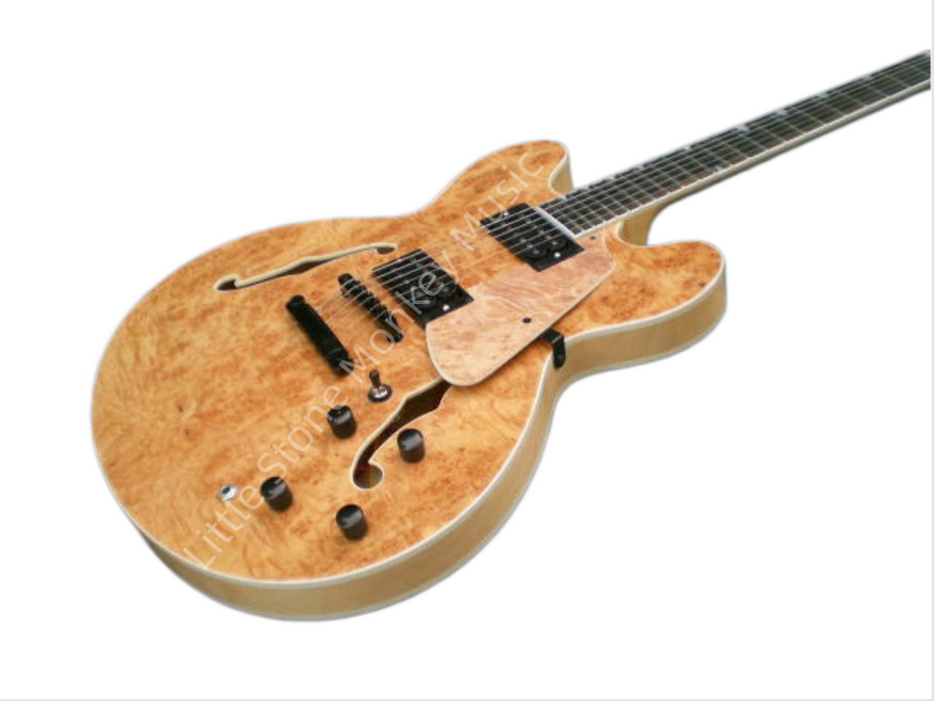 Customize Electric Guitar LSM010