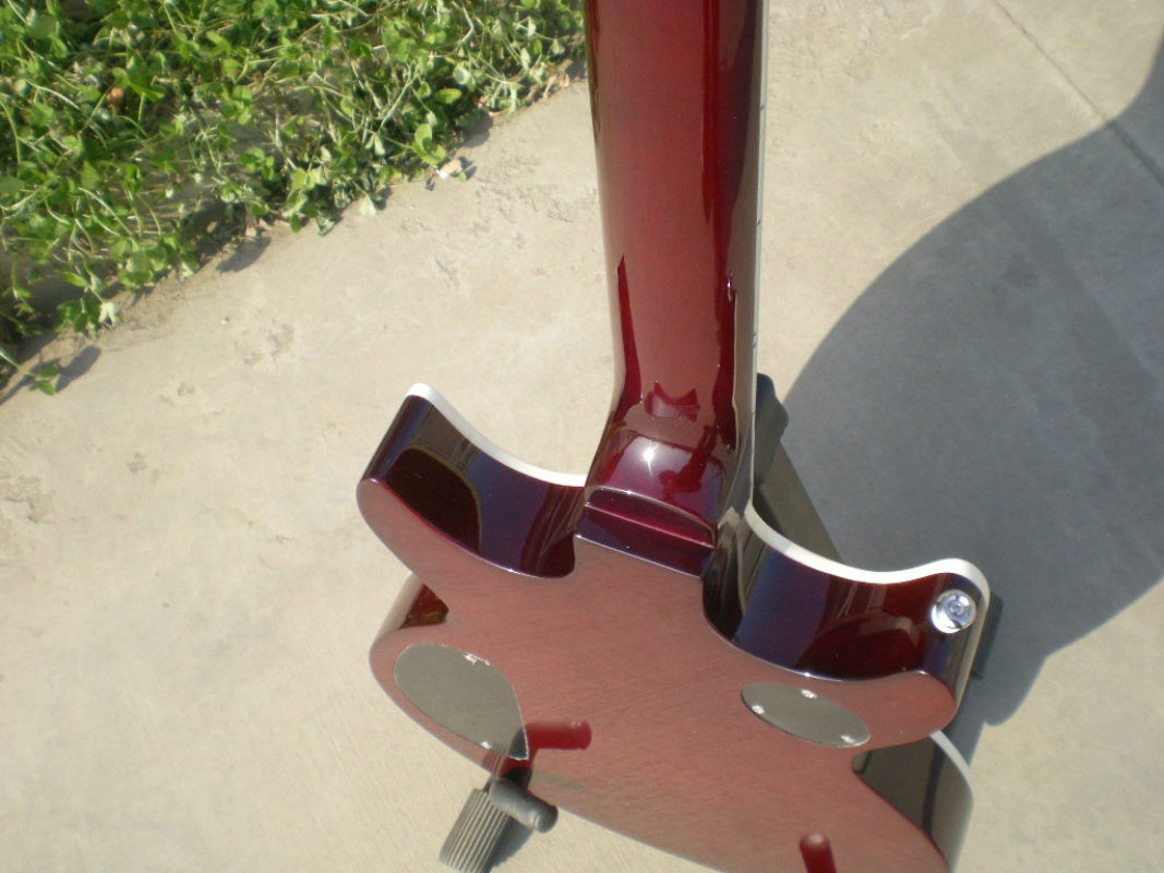 Customize Electric Guitar LSM037