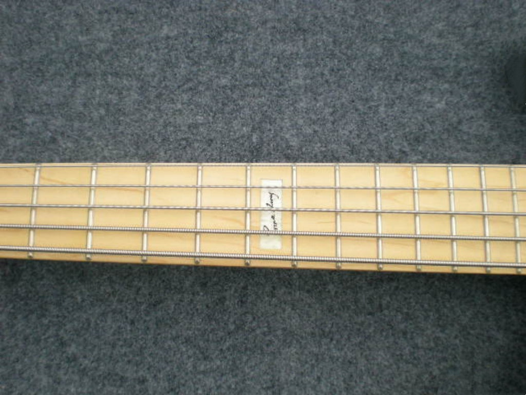 Customize Electric Guitar LSM073