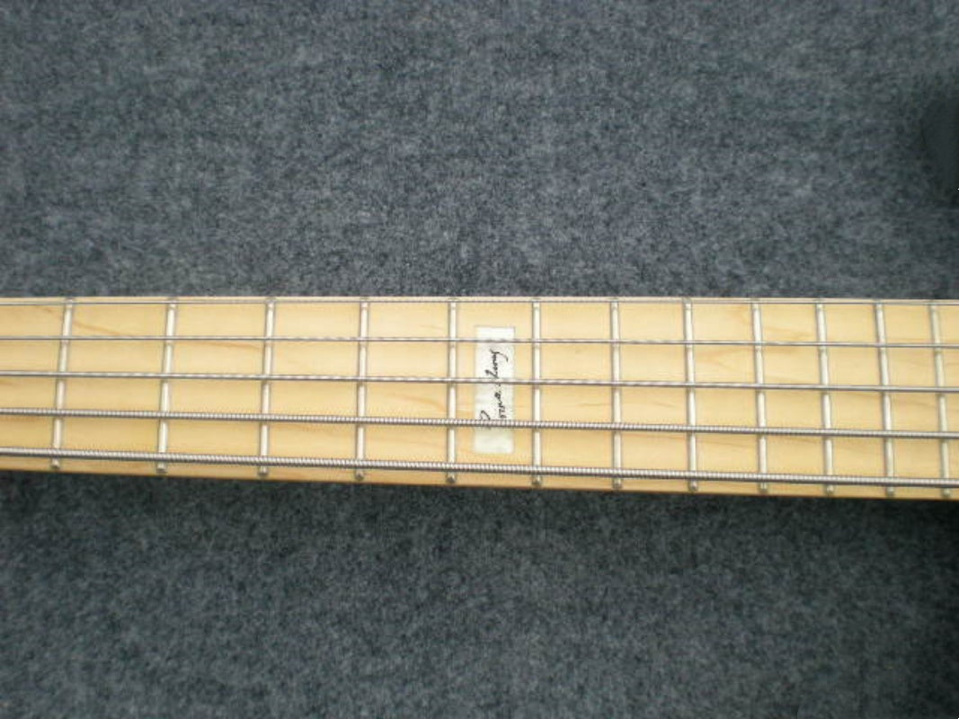 Customize Electric Guitar LSM073