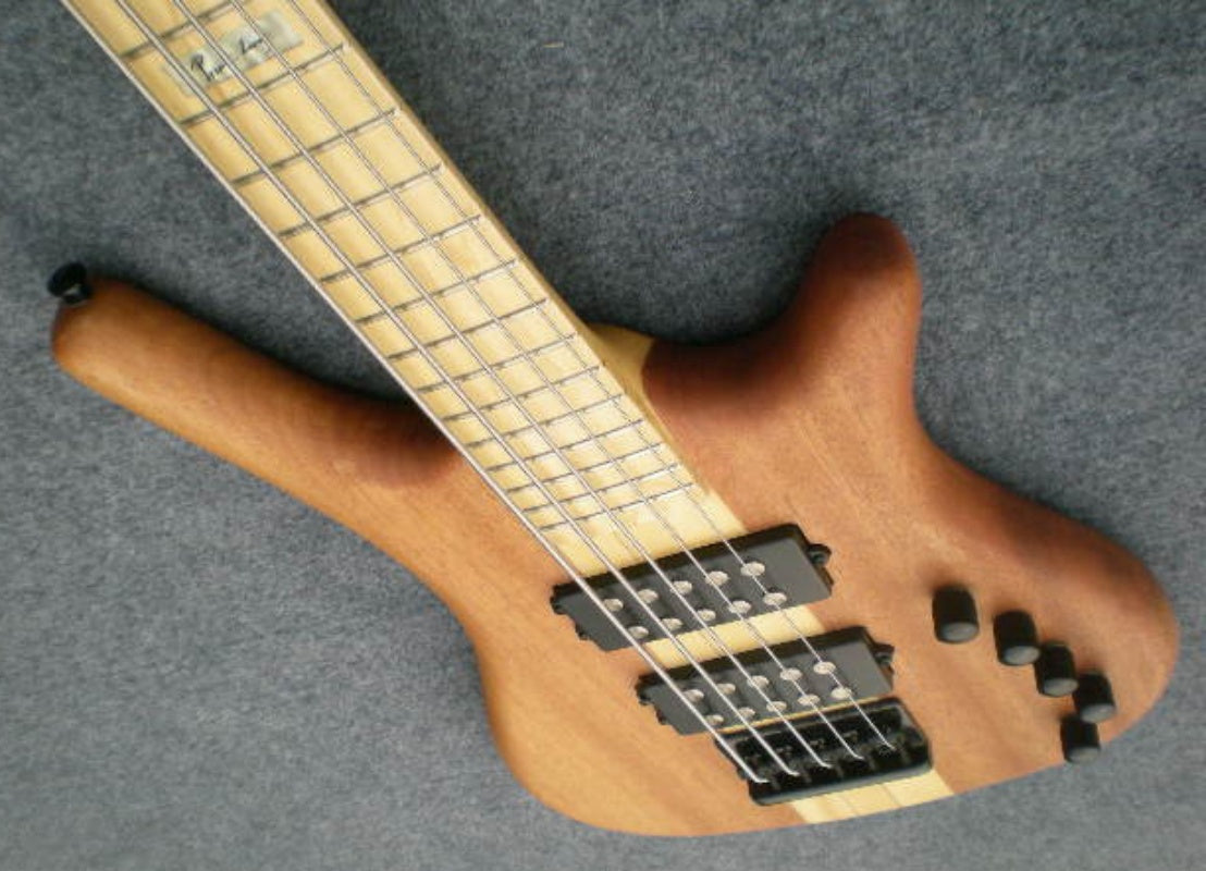 Customize Electric Guitar LSM073