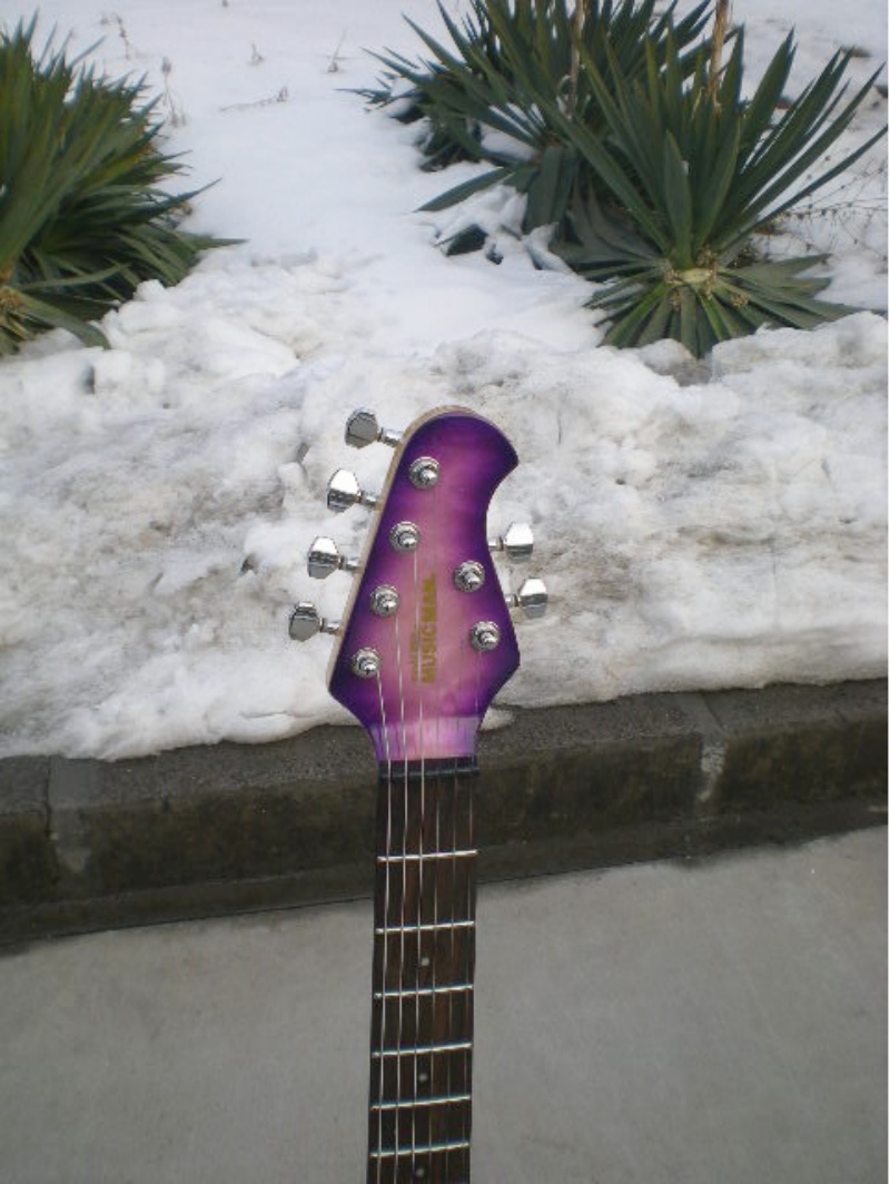 Customize Electric Guitar LSM081