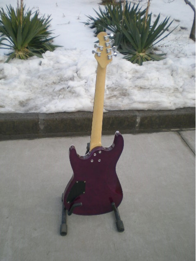 Customize Electric Guitar LSM081