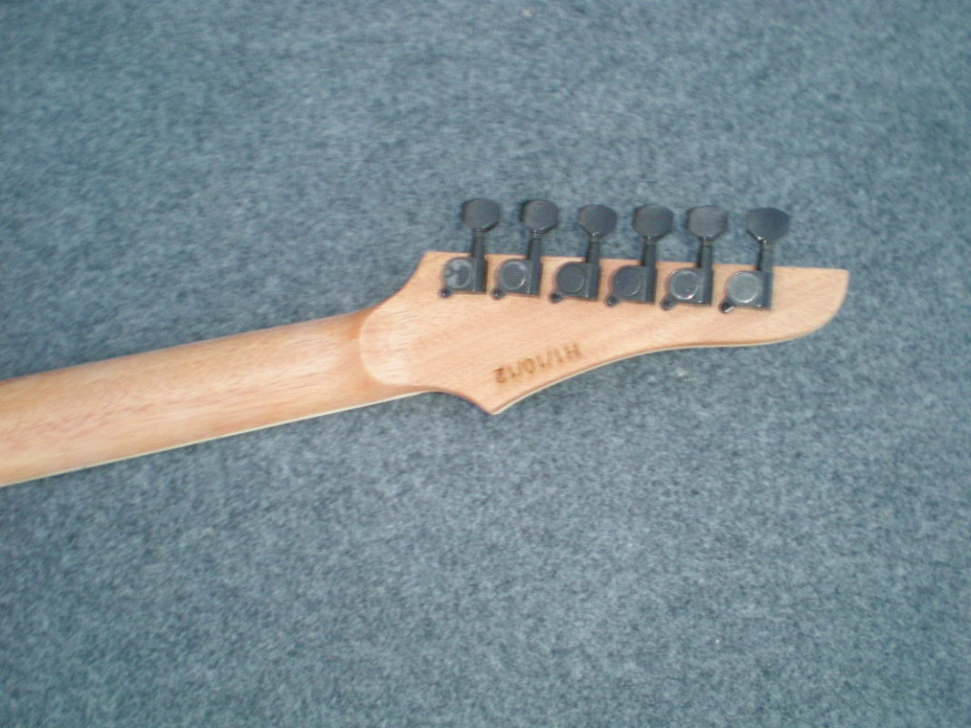 DIY Electric Guitar