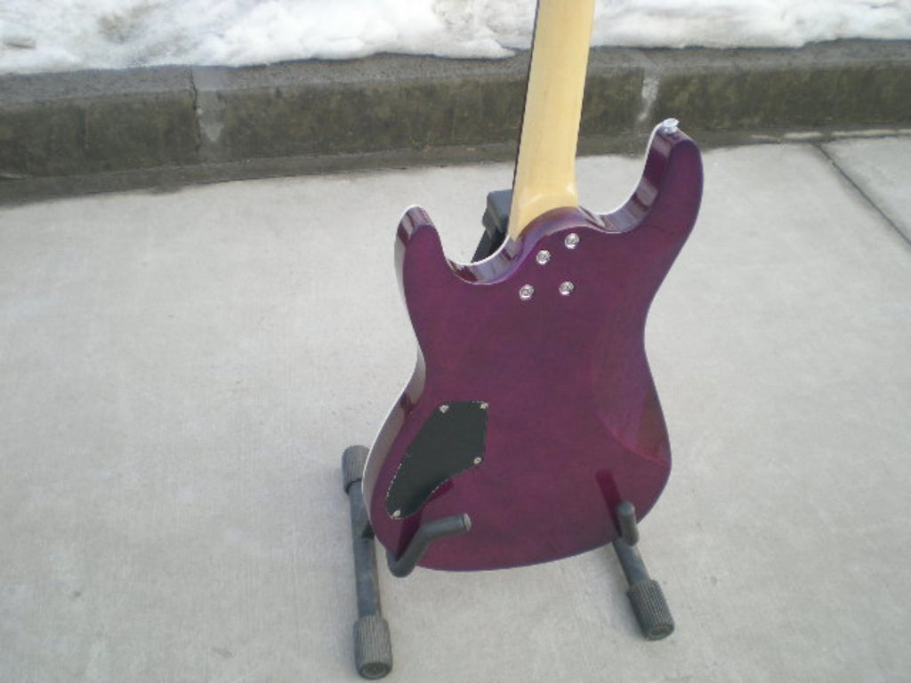 Customize Electric Guitar LSM081