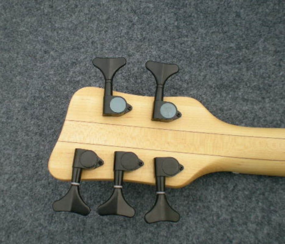 Customize Electric Guitar LSM073