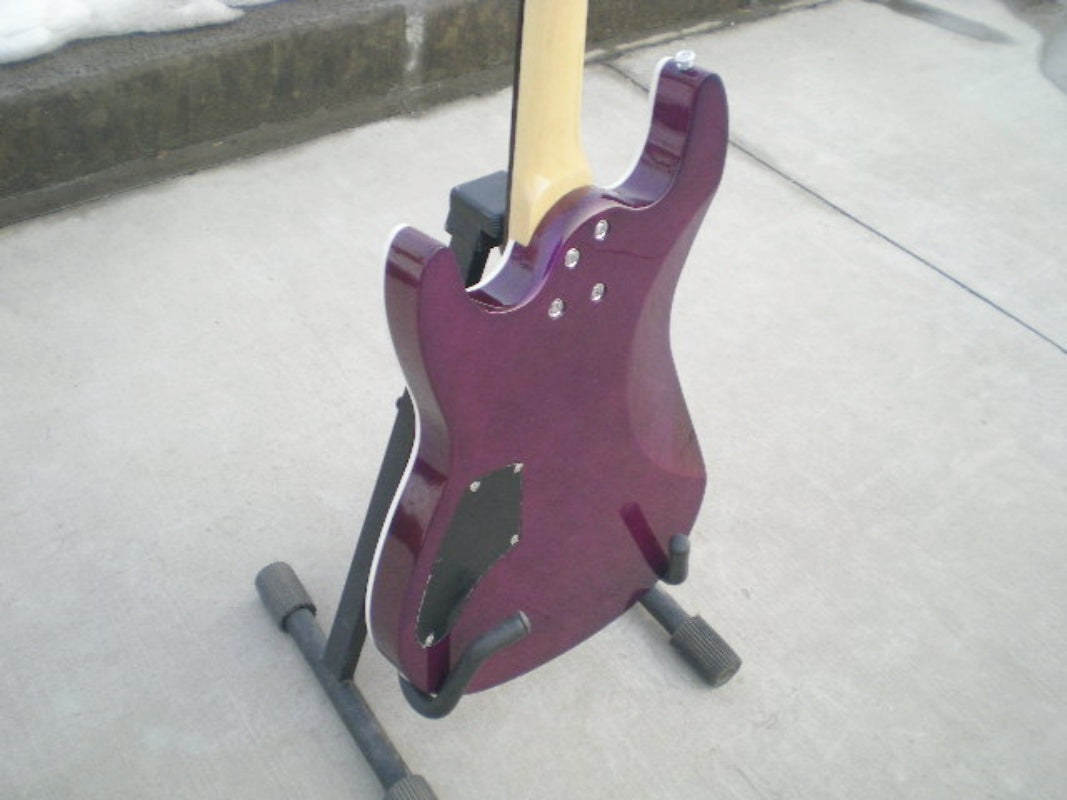 Customize Electric Guitar LSM081