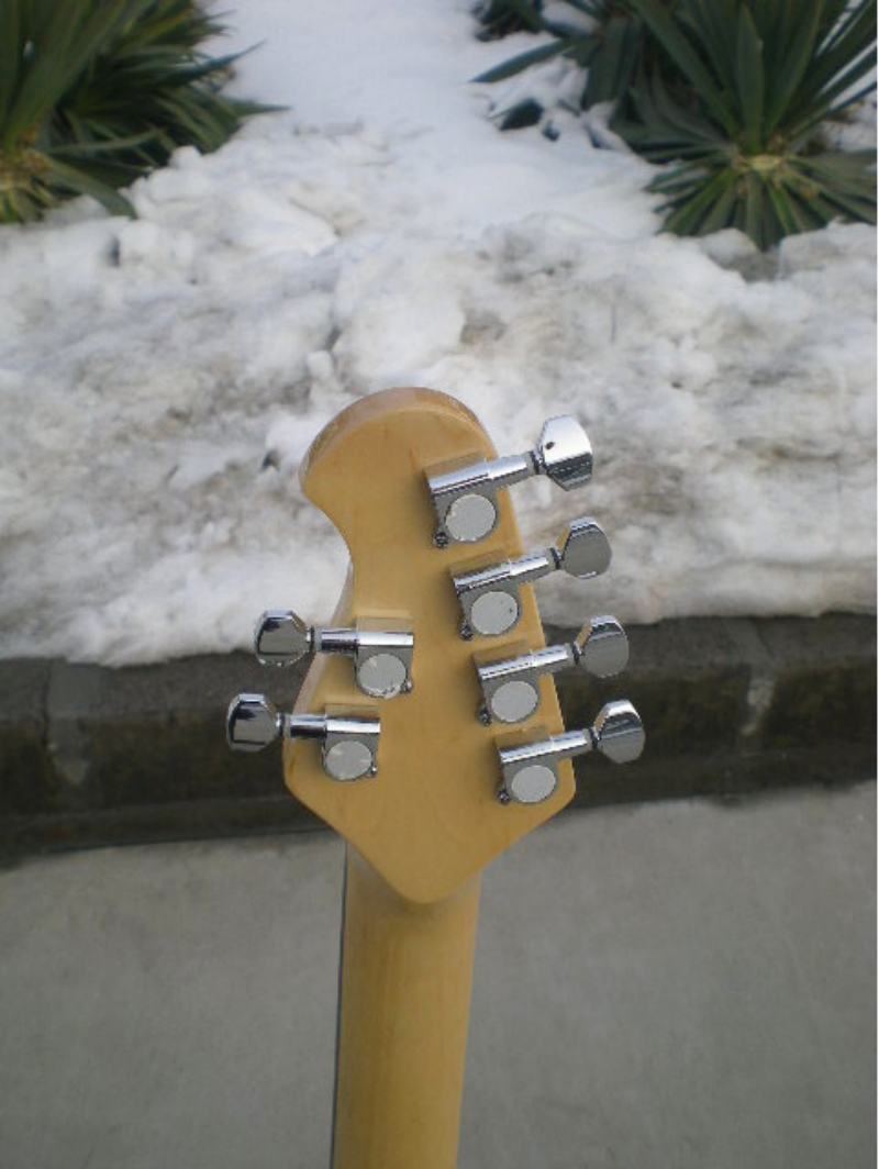Customize Electric Guitar LSM081