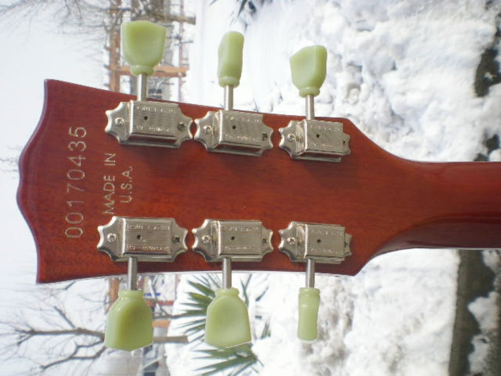 Customize Electric Guitar LSM031