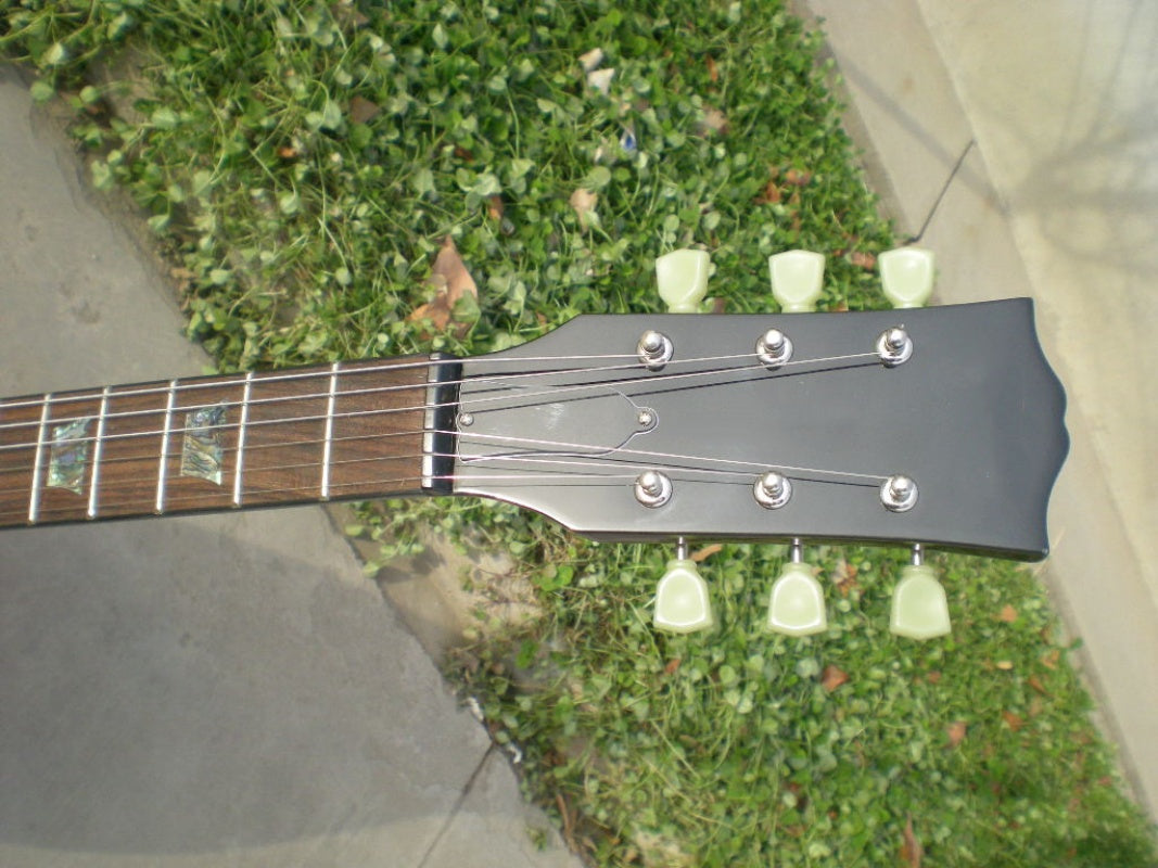 Customize Electric Guitar LSM035