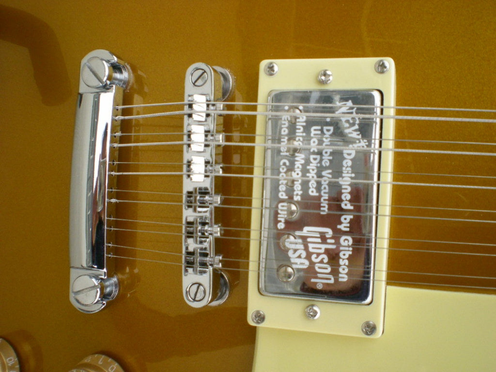 Customize Electric Guitar LSM030