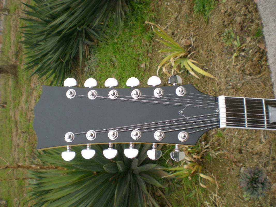 Customize Electric Guitar LSM030
