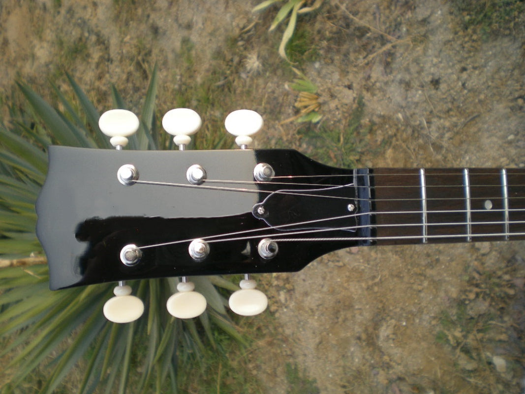 Customize Electric Guitar LSM065
