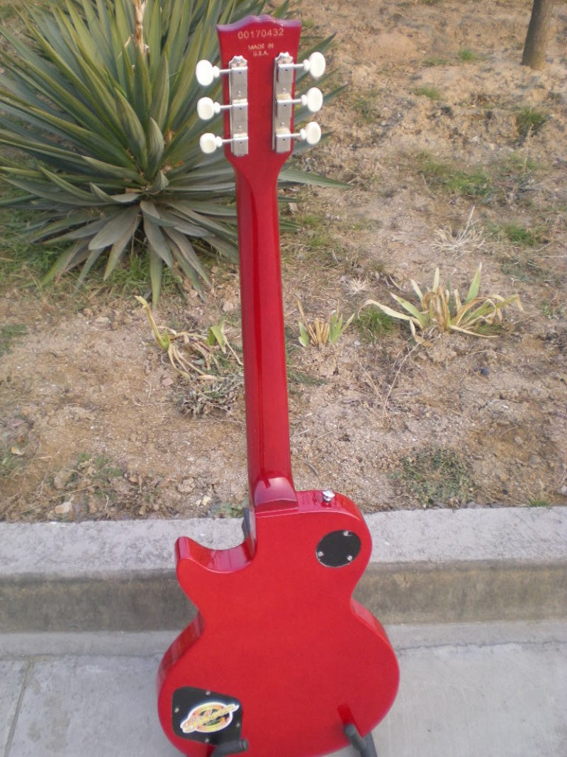 Customize Electric Guitar LSM065