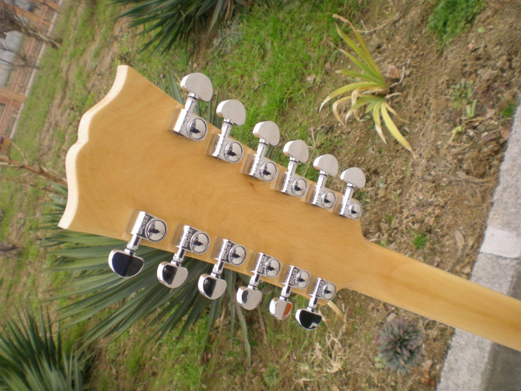 Customize Electric Guitar LSM030