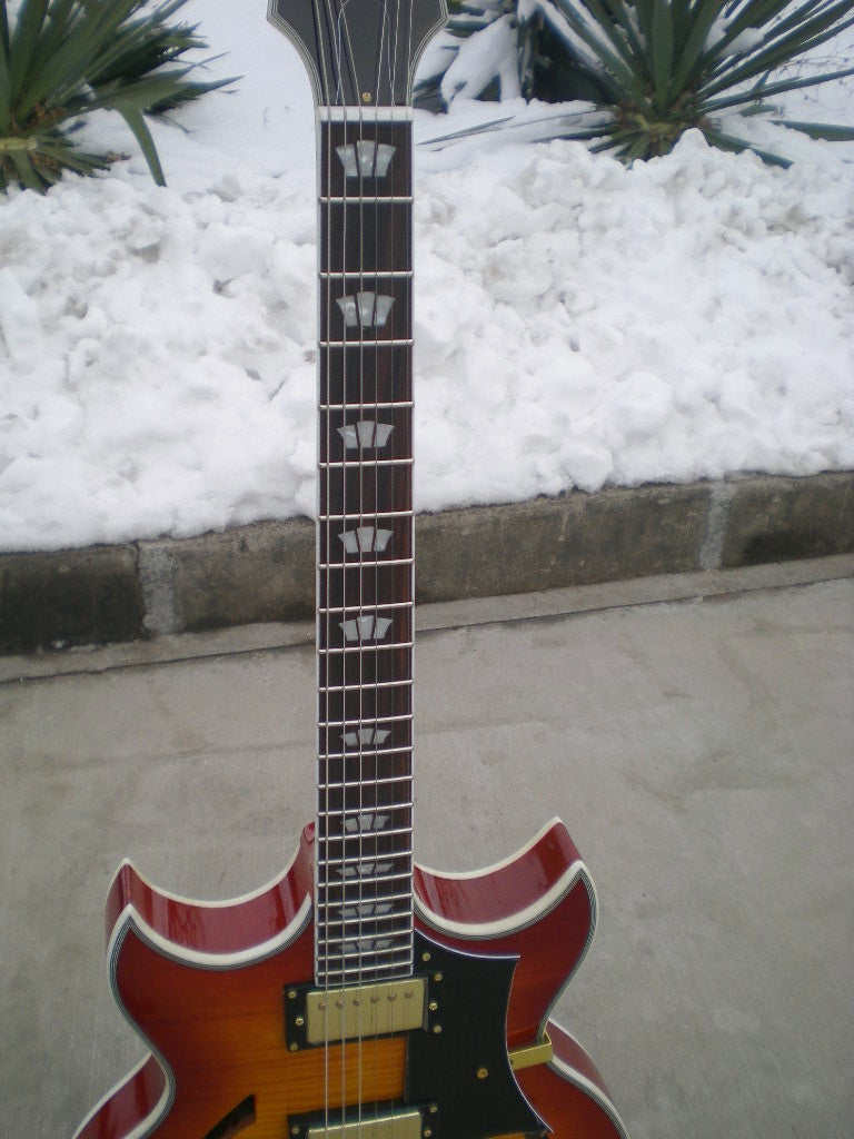 Customize Electric Guitar LSM040