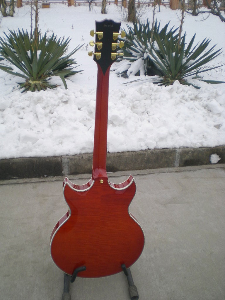 Customize Electric Guitar LSM040