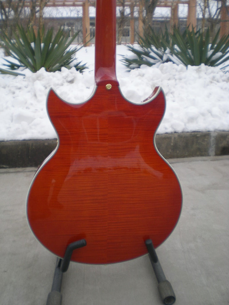 Customize Electric Guitar LSM040