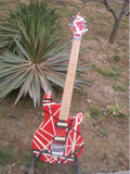 Customize Electric Guitar LSM005