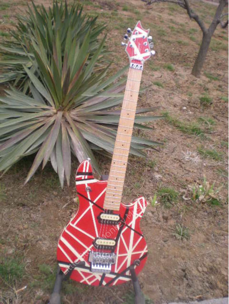 Customize Electric Guitar LSM005