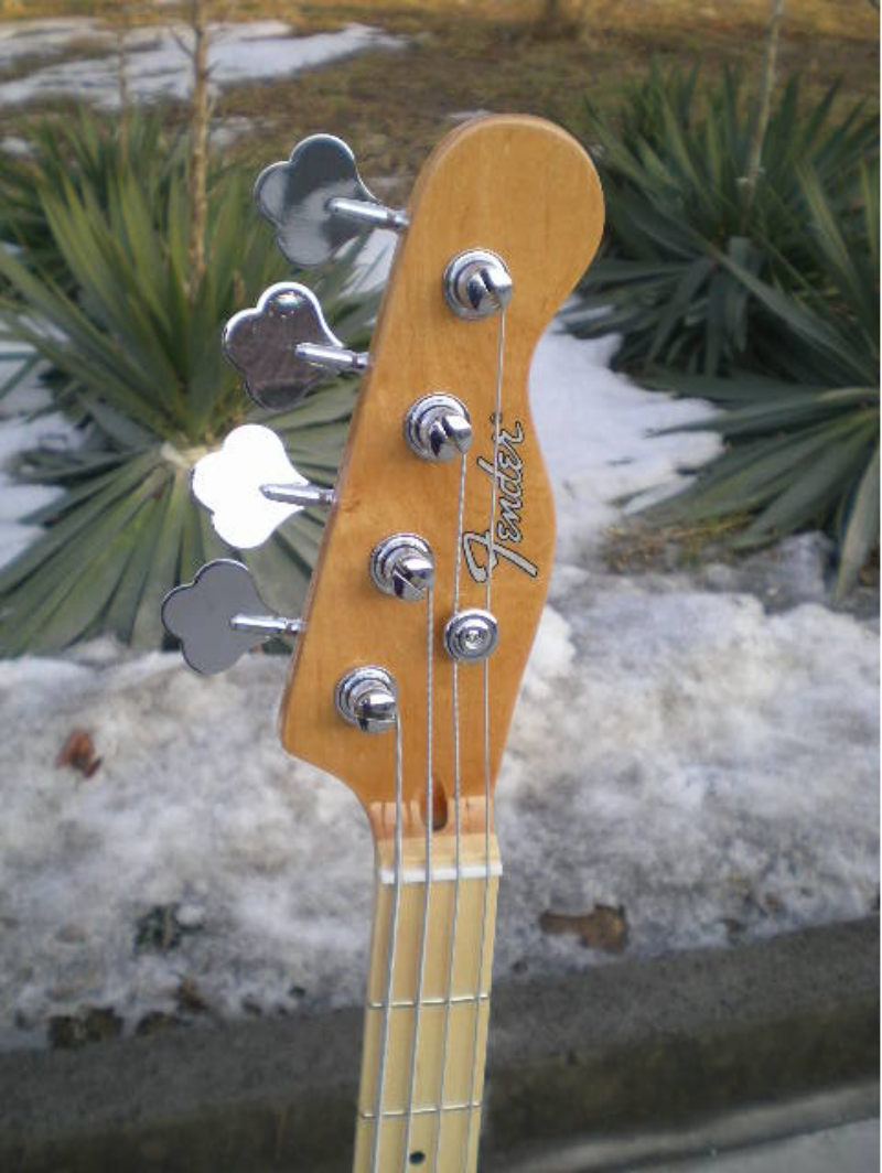 Customize Electric Guitar LSM082