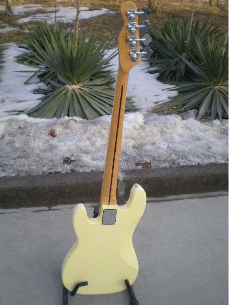 Customize Electric Guitar LSM082