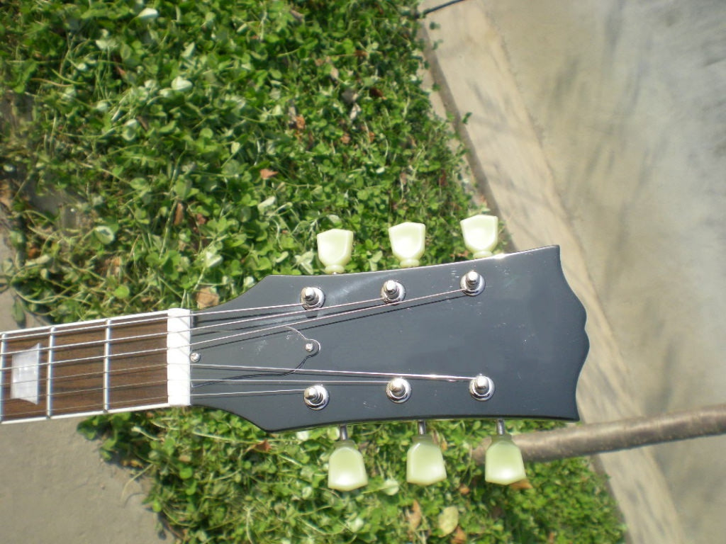 Customize Electric Guitar LSM037