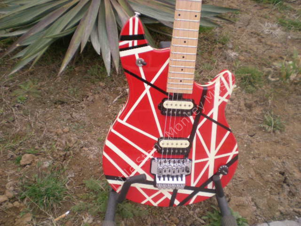Customize Electric Guitar LSM005