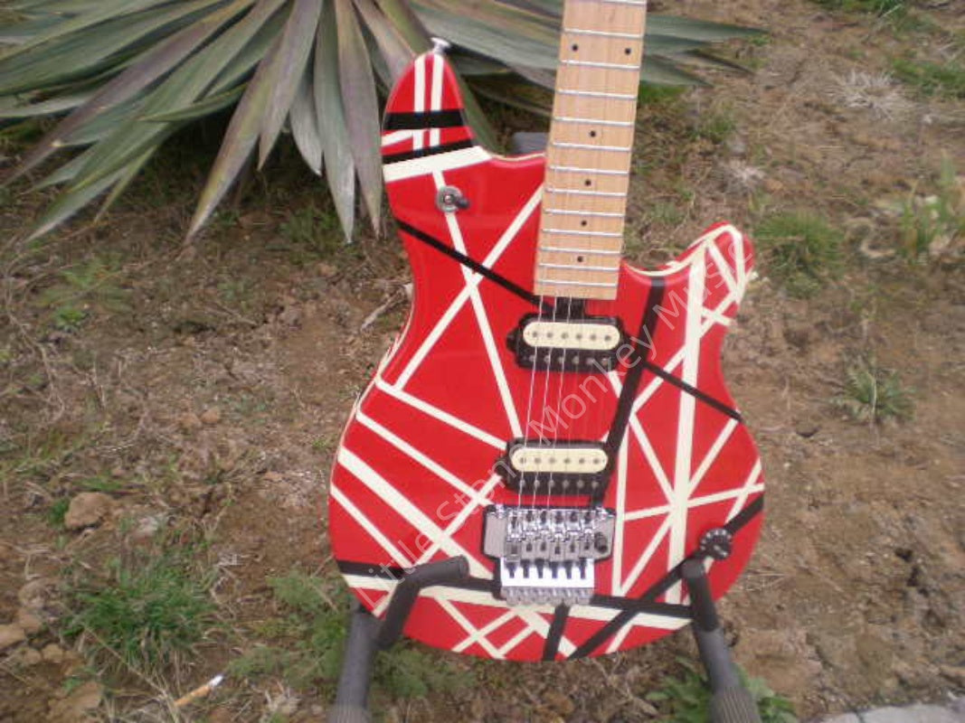 Customize Electric Guitar LSM005