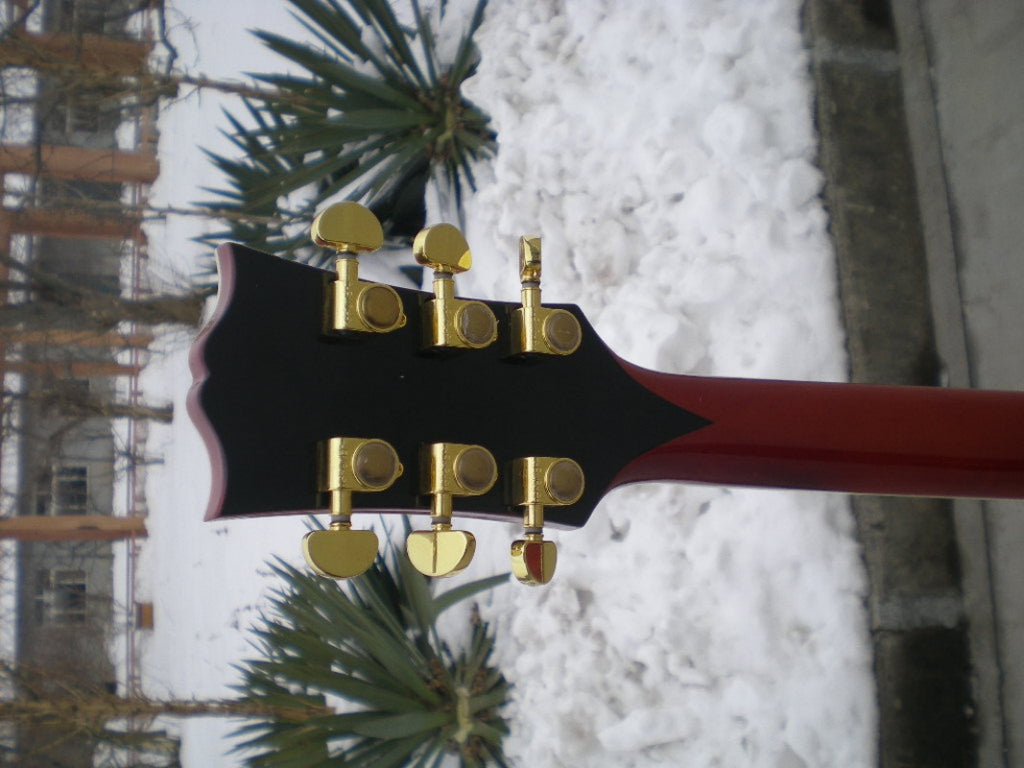 Customize Electric Guitar LSM040