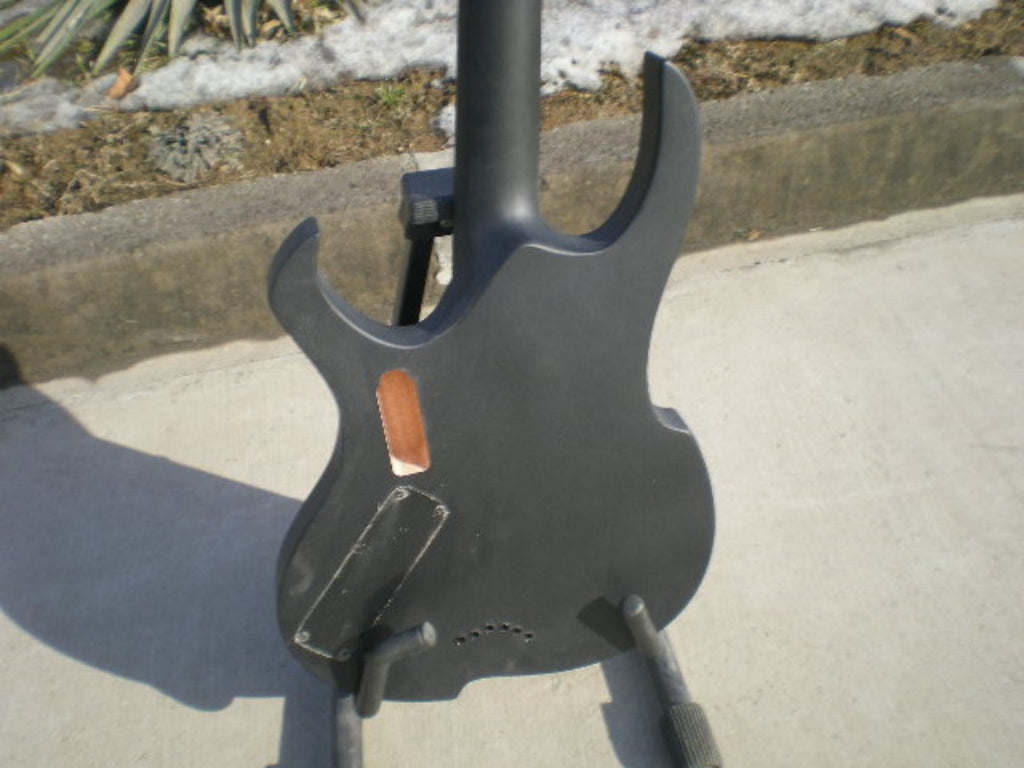 Customize Electric Guitar LSM078