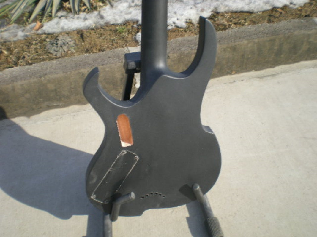 Customize Electric Guitar LSM078