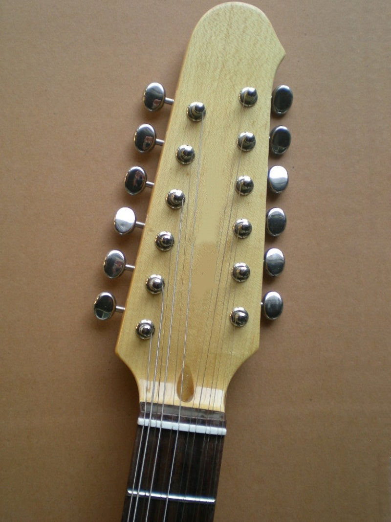 Customize Electric Guitar LSM149
