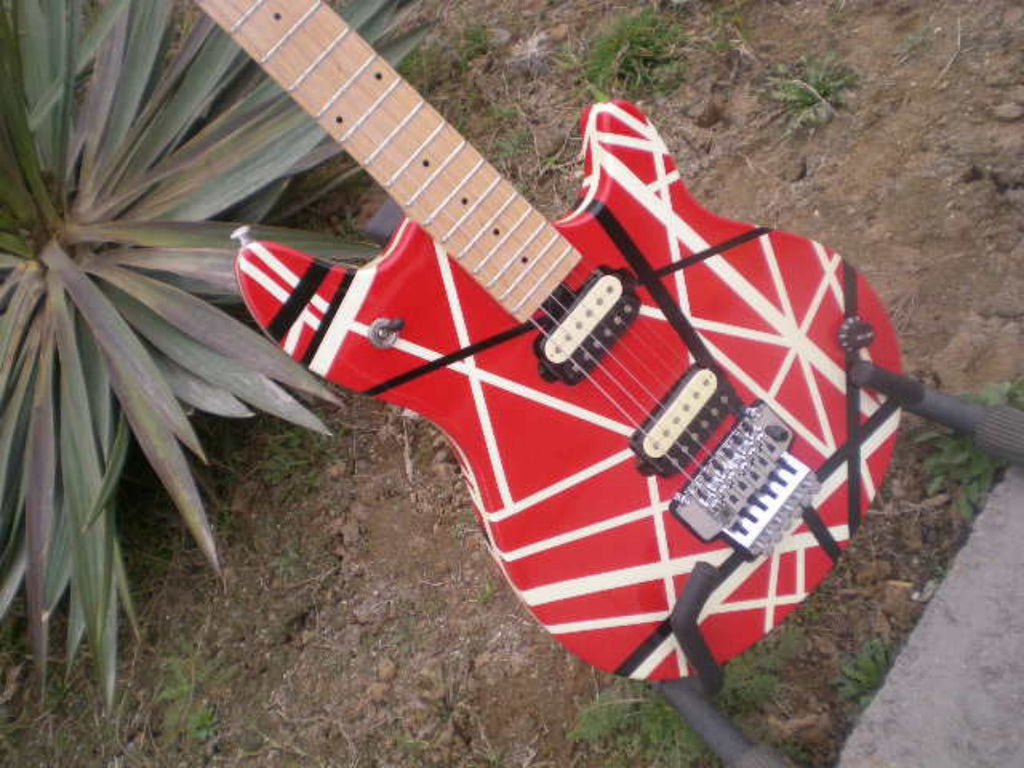 Customize Electric Guitar LSM005