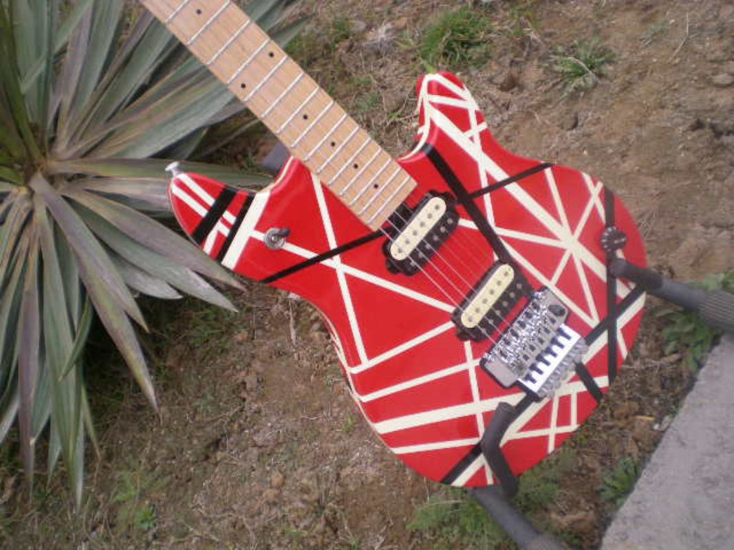 Customize Electric Guitar LSM005