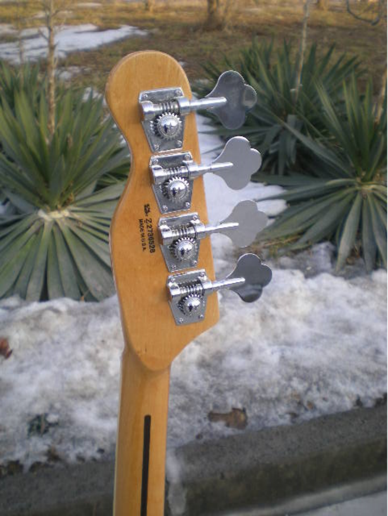 Customize Electric Guitar LSM082