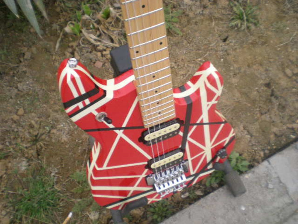 Customize Electric Guitar LSM005